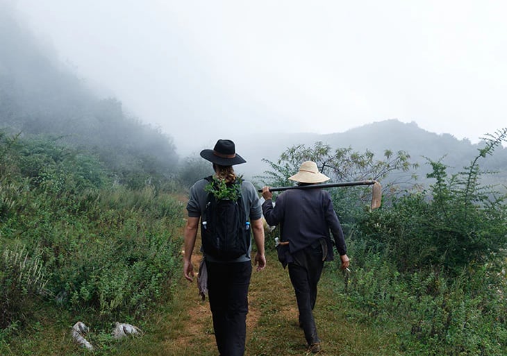 introduction to medicinal mushrooms