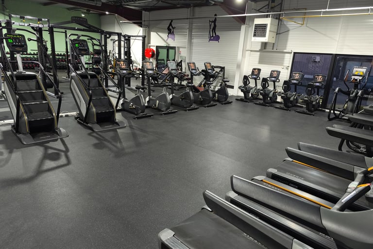 Tapis de courses et vélos élliptiques