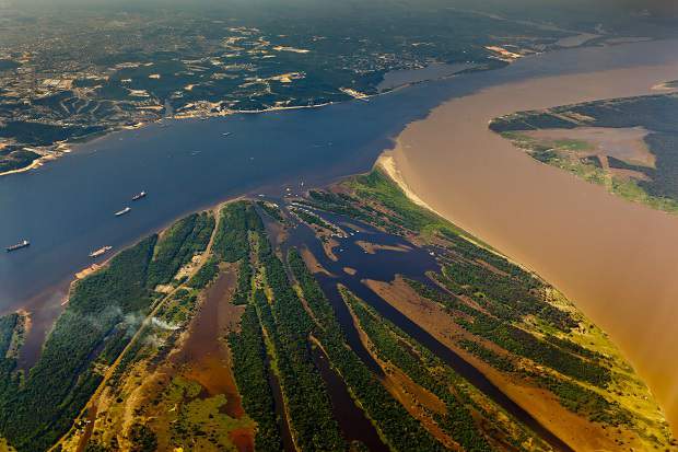 Contrate uma Franquia de Cursos de Banho e Tosa para Manaus Belém Porto Velho
