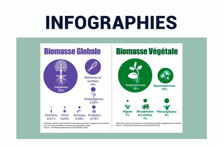 PESTICIDES BIODIVERSITÉ EXTINCTION MASSE INFOGRAPHIES