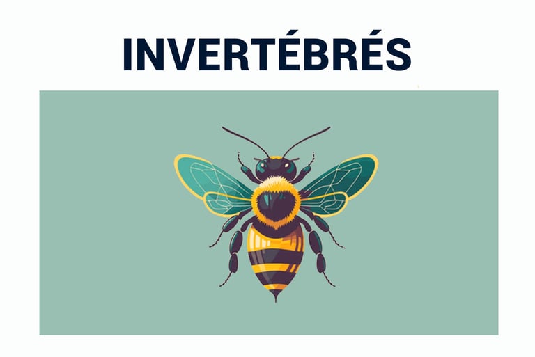 PESTICIDES BIODIVERSITÉ EXTINCTION MASSE INSECTES VER DE TERRE