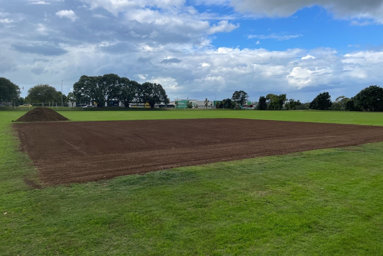 Cricket Wicket Renovation