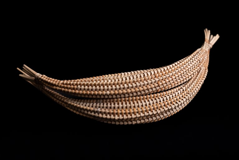 Persuasion, 2020, cane, reed