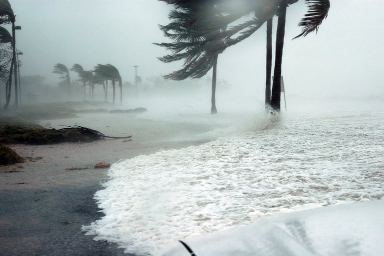 Hurricane, storms of life.