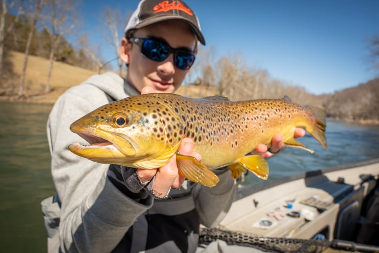 March fly fishing heating up on the South Holston and Watauga River