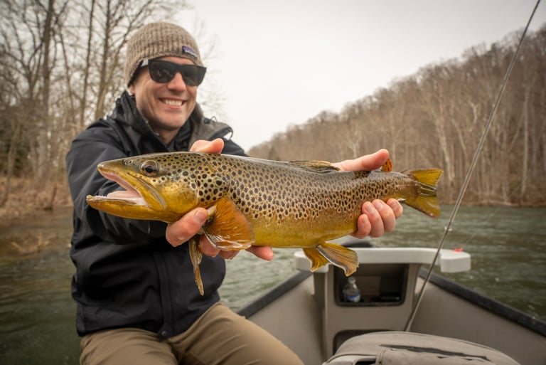 big brown trout in March in Tennessee 