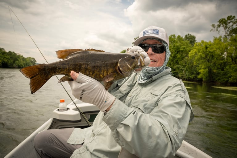 Top Water smallmouth action in Tennessee