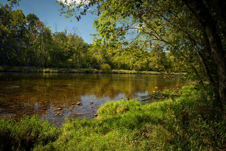 Fly Fish South Holston River