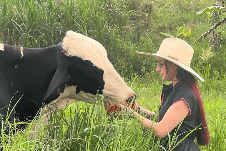 planes en pereira precios
