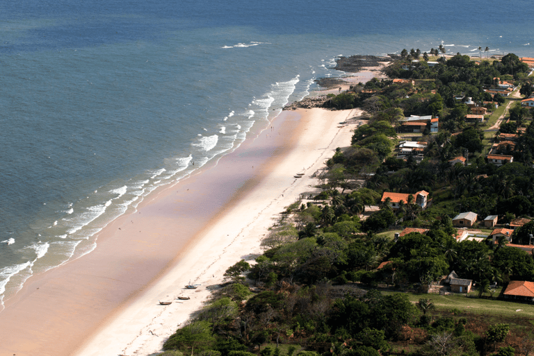 a beach with a sandy beach and a body of water, Marajó Island, Pará, Brazil
