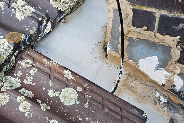 Gutter clearing, Basic roof maintenance, Landscaping, Lawn mowing, edging & all Gardening services