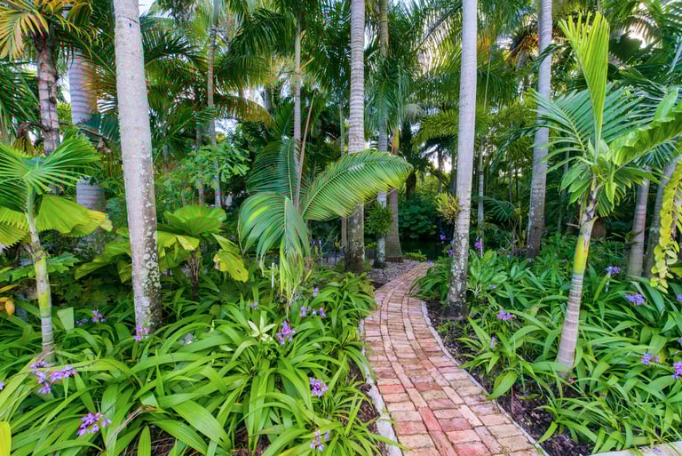 Christine Knize's Tropical Paradise in Miami