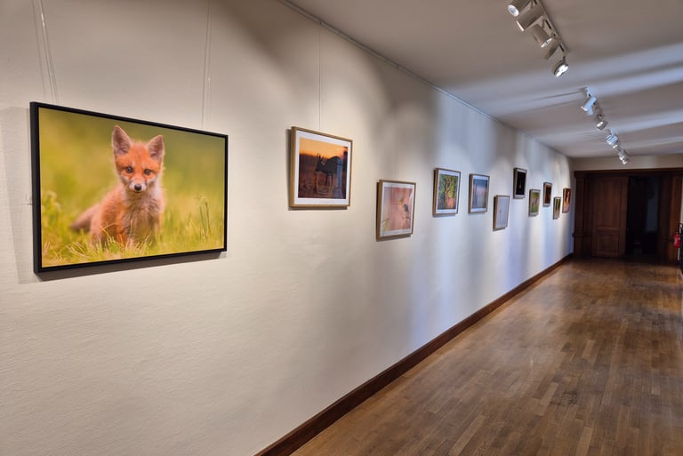 Exposition