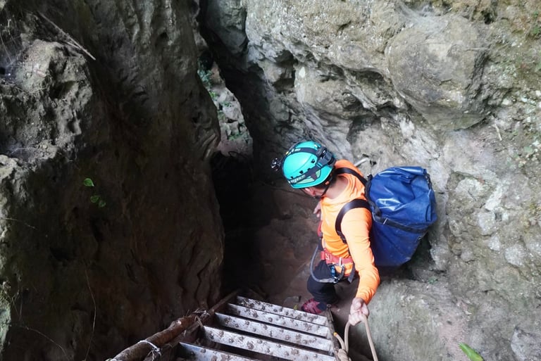 Metal ladders down to the entrance of Hang Son Doong Cave , Ke Bang National Park, Vietnam