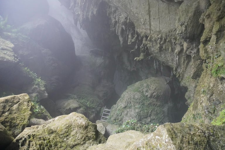 Metal ladders down to the entrance of Hang Son Doong Cave , Ke Bang National Park, Vietnam