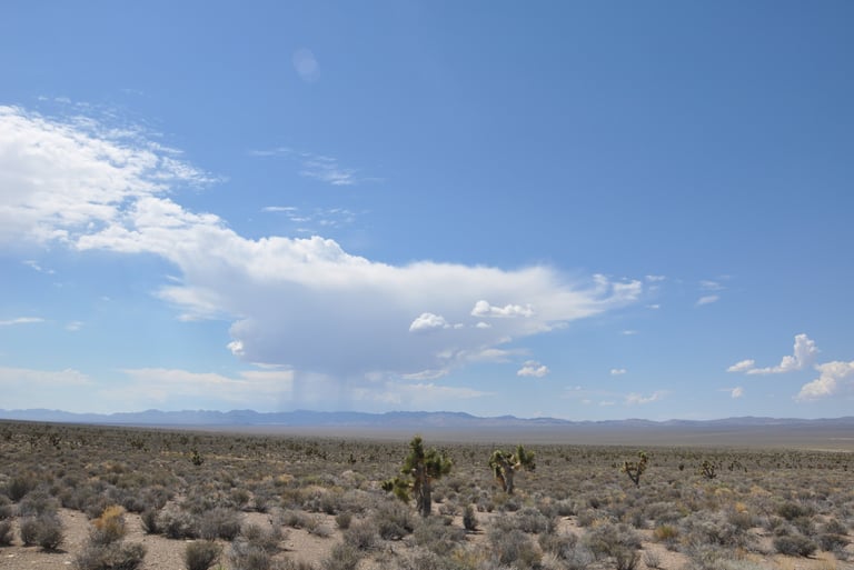 through the desert near area 51