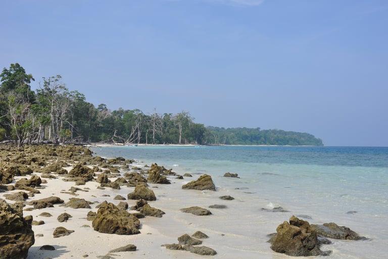 Forest walk to elephant beach, Havelock island, Andaman islands
