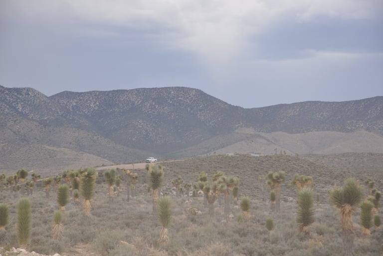 being watched at entrance to area 51