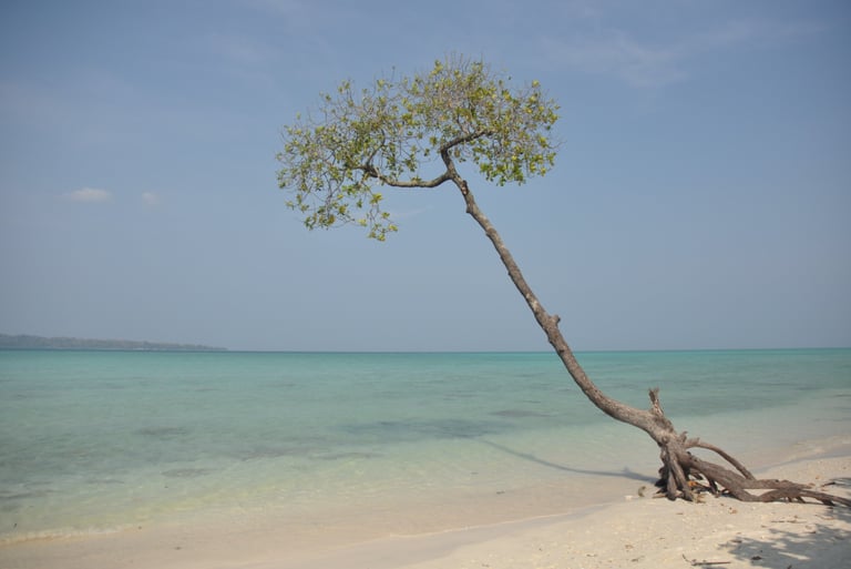 Govind Nagar Beach, havelock, andaman and nicobar islands