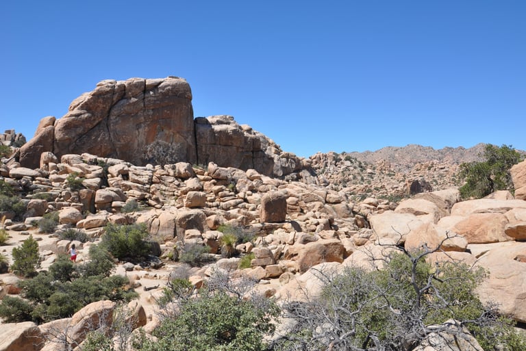  Barkers Dam, Joshua Tree National Park