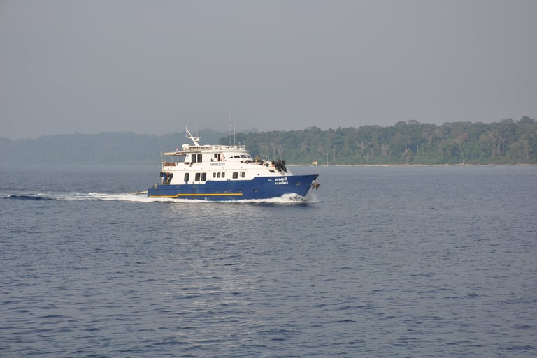 passing ferries on the way to Havelock Jetty, Havelock Island,  Andaman Islands