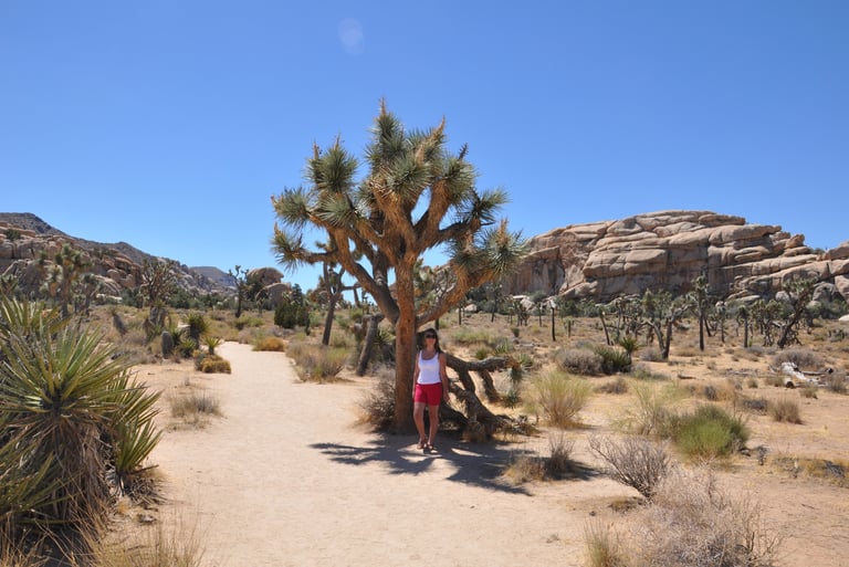 Skull rock trail, Joshua Tree National Park