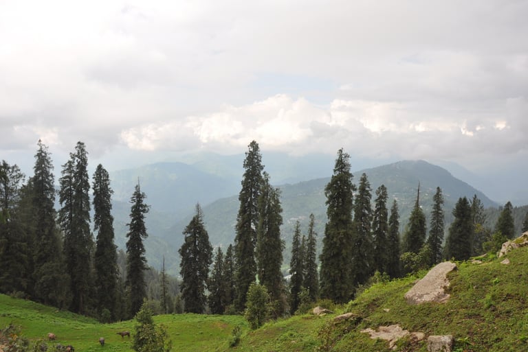 Hatu Peak, Himachal Pradesh, India