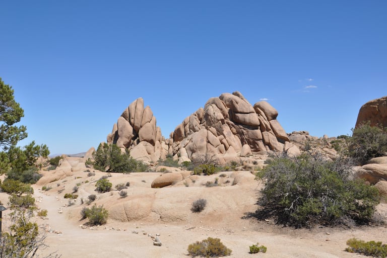 Skull rock trail, Joshua Tree National Park