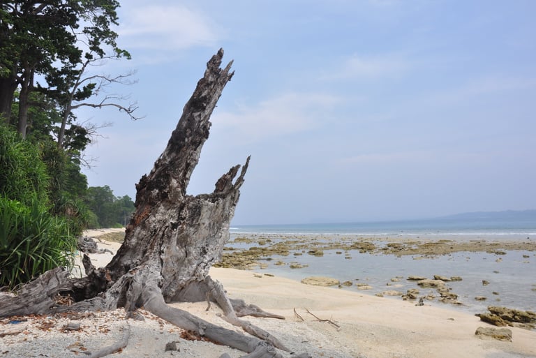 Laxmanpur beach, Neil island, andaman and nicobar islands