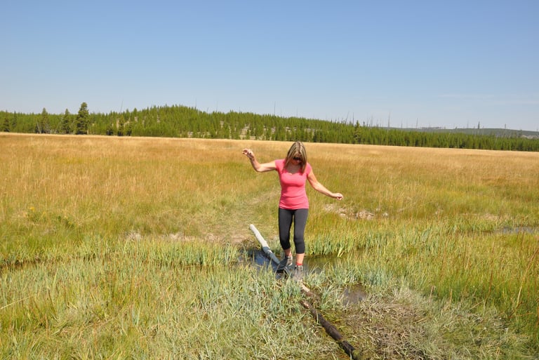 a woman in a pink shirt is walking across a field in yellowstone nation park