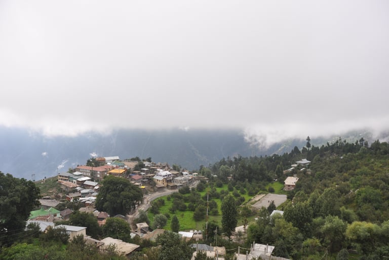 Snow view hotal, Sarahan, Himachal Pradesh, India