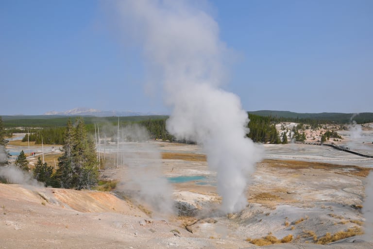 geothermal pool and geyser at yellowstone national park