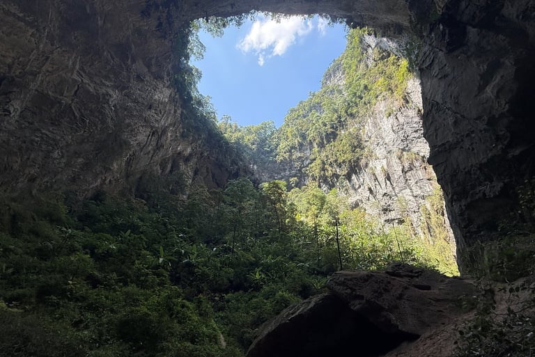 Looking up to the Garden Of Edam, Doline 2, Hang Son Doong cave, Vietnam
