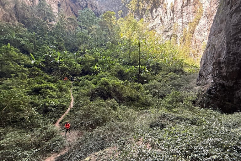 Pristine jungle of the Garden Of Edam, Doline 2, Hang Son Doong cave, Vietnam