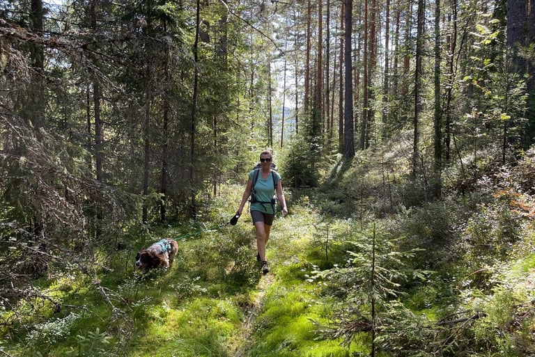 walking up in the forests around Sokna, Norway