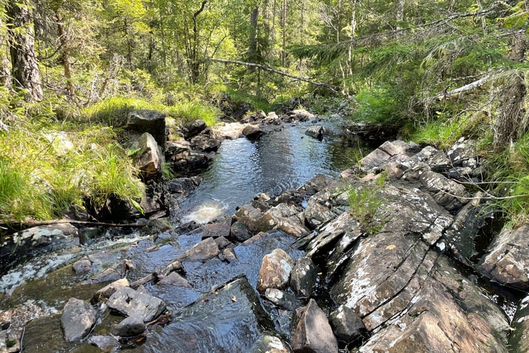 walking up in the forests around Sokna, Norway