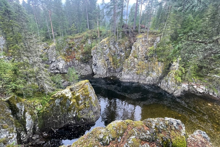 A walk in the woods around Dalen, Norway