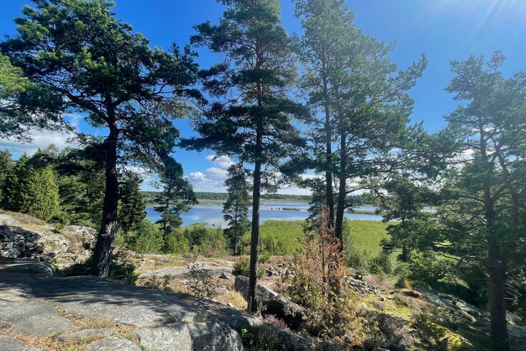 woods near Vanersborg at the southern tip of Lake Vanern, Sweden