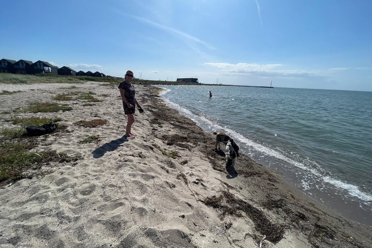 Muller Up Strand on the west coast of Zealand, Denmark