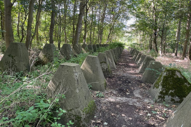 German dragons teeth defences near the village of Zoutelande, Netherlands