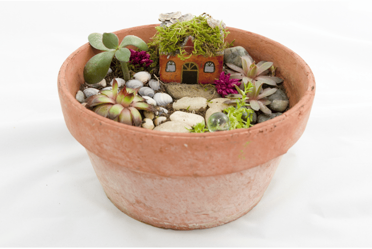 Mini fairy garden fairy themed party favor