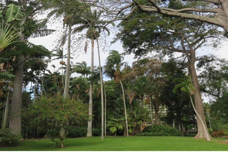 Foster Botanical Garden