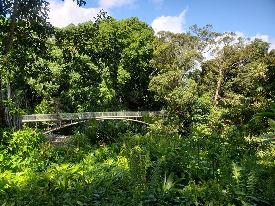 wahiawa botanical garden bridge