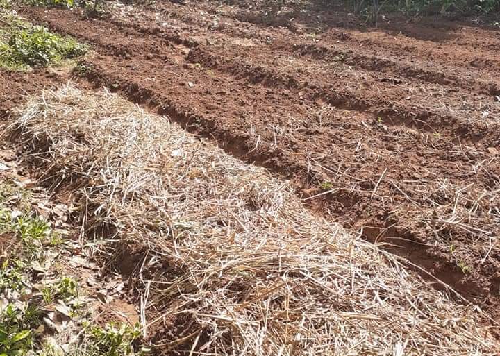 Formations Permaculture à la Ferme Aménopé Togo