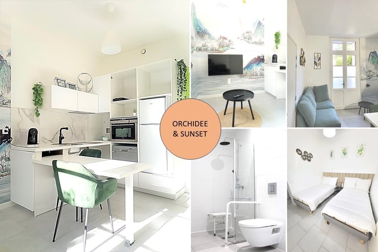 Location appartement "Sunset" et "Orchidée" pour cures thermales à Lamalou les bains