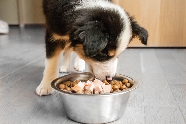 Mixed Breed Dog Food