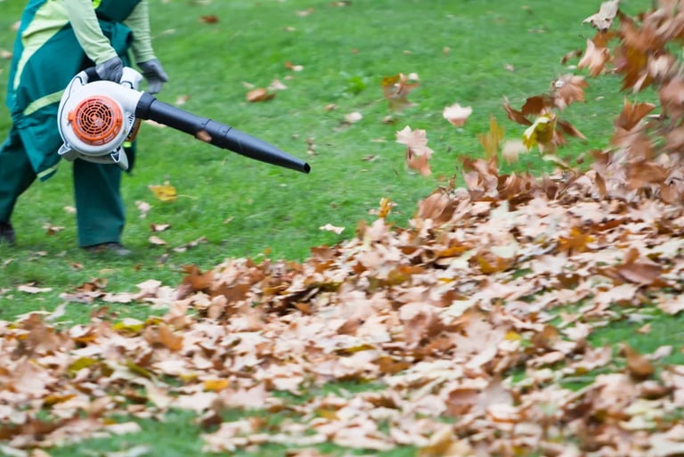 residential lawn care