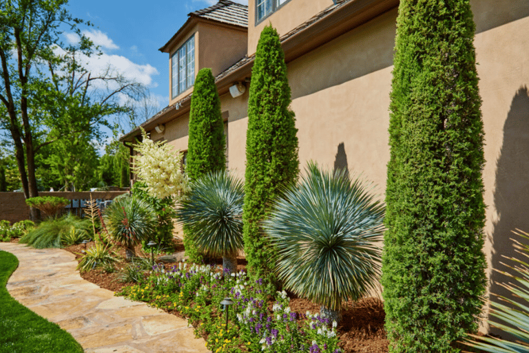 landscape contractor near me