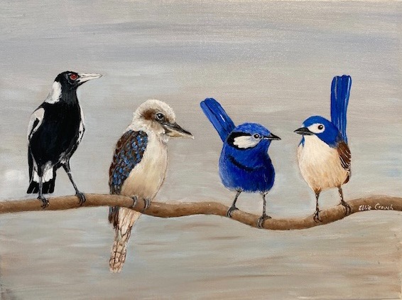 Magpie, Kookaburra, and two Bluebirds