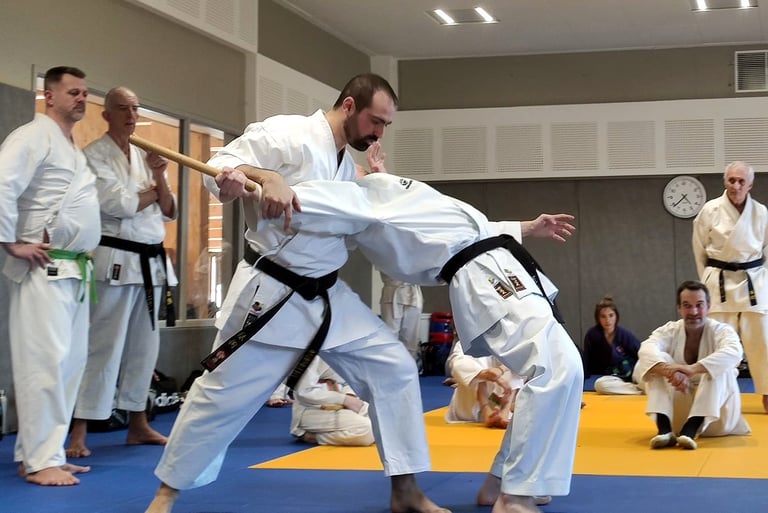 Technique adulte Taï-Jitsu
